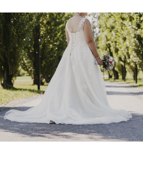 Nr. 4276 Bridalstar Isadora - Image 2
